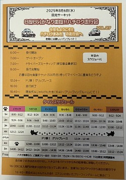 パドック